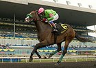 Skylander Girl leads the way home in the Hendrie Stakes.