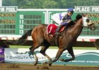 Spendthrift to Stand Three New Stallions Spendthrift to Stand Three New Stallions