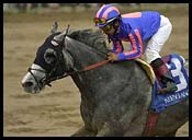 Front-End Runner Duckhorn Wins Ben Ali by Seven Front-End Runner Duckhorn Wins Ben Ali by Seven
