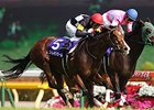 Straight Girl wins the Victoria Mile.
<br><a target="blank" href="
http://photos.bloodhorse.com/AtTheRaces-1/At-the-Races-2015/i-CxRGVGv">Order This Photo</a>
