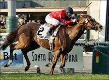Leroidesanimaux Conquers Kilroe Mile Leroidesanimaux Conquers Kilroe Mile