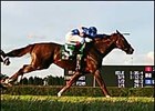Ballast Looks for Second Graded Victory in Carey Ballast Looks for Second Graded Victory in Carey