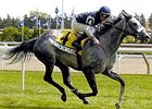 Champion Financingavailable Retired Champion Financingavailable Retired