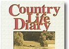 New! Farm Life Goes Interactive in New Year New! Farm Life Goes Interactive in New Year