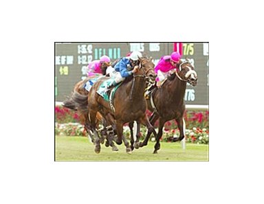 Musical Chimes, left, cruises past Notting Hill to win the John C. Mabee Handicap, Saturday at Del Mar.