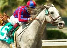 Greg's Gold Heads Five-Horse Ancient Title Line-Up Greg's Gold Heads Five-Horse Ancient Title Line-Up