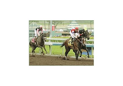 Castledale (4) drives to the finish line to beat Rock Hard Ten (inside) and Imperialism (left) for the win in the Santa Anita Derby.