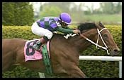 Kim Loves Bucky and Keeneland Kim Loves Bucky and Keeneland