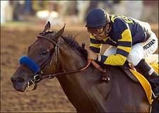 Baffert Sets Stakes Mark; Behaving Badly Rolls Baffert Sets Stakes Mark; Behaving Badly Rolls