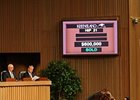 Medaglia d'Oro Colt Brings $600,000 Medaglia d'Oro Colt Brings $600,000