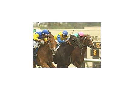 Megahertz, left, rallies to win the John C. Mabee Handicap at 8-1 odds. Golden Apples (partially obscured), Dublino (#2) and Tates Creek, far right, finished in a photo for second.