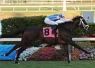 Affirmatif easily won his debut at Gulfstream Feb. 28.