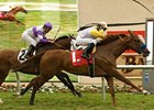 Internallyflawless holds off Nan to take the Del Mar Oaks.<br><a target="blank" href="http://www.bloodhorse.com/horse-racing/photo-store?ref=http%3A%2F%2Fpictopia.com%2Fperl%2Fgal%3Fprovider_id%3D368%26ptp_photo_id%3D8423734%26ref%3Dstory">Order This Photo</a>