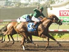 Borrego Springs Pacific Classic Surprise; Del Mar Wagering Record Set Borrego Springs Pacific Classic Surprise; Del Mar Wagering Record Set