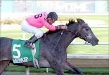 Illinois Derby Next for Cause to Believe Illinois Derby Next for Cause to Believe
