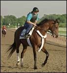 A P Valentine in Sharp Work for Belmont A P Valentine in Sharp Work for Belmont