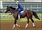 Personal Rush, Magistretti Work at Lone Star Park Personal Rush, Magistretti Work at Lone Star Park