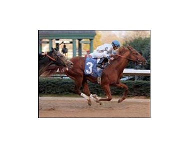 Lawyer Ron continued on the road to the Kentucky Derby with a victory in the Southwest Stakes.