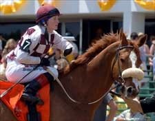 My Lord Flies Home to Capture Grey Goose Stakes My Lord Flies Home to Capture Grey Goose Stakes