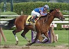 Spinaway winner Sense of Style goes for three-in-a-row in Sunday's Matron mile.