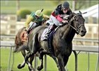 Rock Hard Ten, with Gary Stevens aboard, charges for the finish line to win the Santa Anita Handicap.