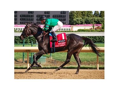 Bizzy Caroline
<br><a target="blank" href="http://www.bloodhorse.com/horse-racing/photo-store?ref=http%3A%2F%2Fpictopia.com%2Fperl%2Fgal%3Fprovider_id%3D368%26ptp_photo_id%3D9591874%26ref%3Dstory">Order This Photo</a>
