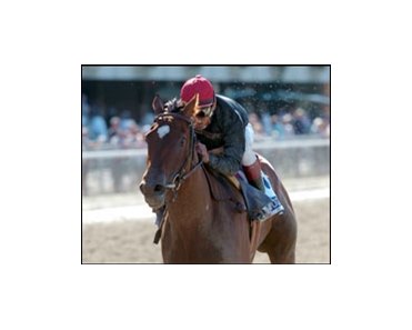 Smuggler impresses in CCA Oaks win.