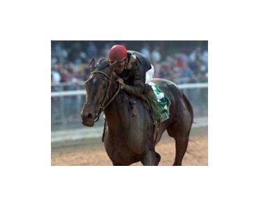 Pine Island wins Gazelle.<br><a target="blank" href="http://www.bloodhorse.com/horse-racing/photo-store?ref=http%3A%2F%2Fpictopia.com%2Fperl%2Fgal%3Fgallery_id%3D6823%26process%3Dgallery%26provider_id%3D368%26ptp_photo_id%3Dbloodhorse%253A545858%26sequencenum%3D0%26page%3D">Order This Photo</a>
