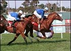 Irish Prize holds off stablemate Touch of the Blues to win the Shoemaker Mile.