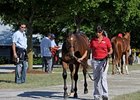 Halftime No Relief at Keeneland Sale Halftime No Relief at Keeneland Sale