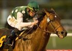 Saint Stephen wins the Native Diver Handicap, Sunday at Hollywood Park.