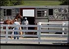 The Keeneland September Yearling Sale comes to an end.