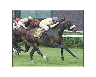 Whitmore's Conn crosses the finish line to win Sword Dancer.