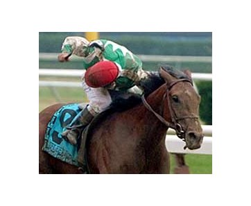 Jockey Jeremy Rose says 'see ya later' to the competition as Afleet Alex wins the Belmont Stakes by seven lengths.