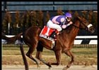 Saratoga Blues Remains Undefeated with Whirlaway Win Saratoga Blues Remains Undefeated with Whirlaway Win