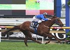 Whobegotyou is Street Cry's best runner to date in Australia.
