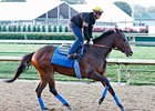 Bodemeister jogs at Churchill Downs 5/14/2012