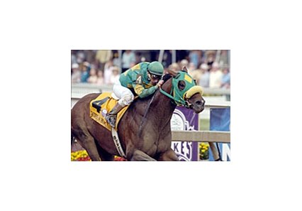 Local favorite Gators N Bears takes the Maryland Breeders' Cup.