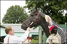 Lion Heart to Roar from Post 4 in Haskell Lion Heart to Roar from Post 4 in Haskell
