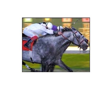 "Fred" Tissington, the gray gentleman on the outside, will make the 100th start of his long career Saturday.