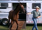 Havre de Grace arrives at Saratoga for the Woodward.