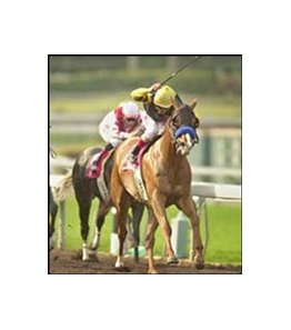 Rojo Toro wins the San Rafael under Jerry Bailey.