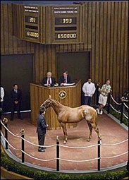 Giant's Causeway Colt Sets Off Fireworks at Fasig-Tipton With $650,000 Price Giant's Causeway Colt Sets Off Fireworks at Fasig-Tipton With $650,000 Price