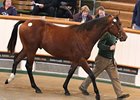 A son of Sakhee's Secret topped the fourth session, bringing 180,000 guineas ($305,074).