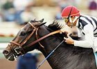 Greek Sun retires to the Maryland Stallion Station to begin his stud career in 2008.