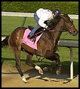 Oaks Loses Another Contender With Defection of Belterra Oaks Loses Another Contender With Defection of Belterra