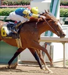 Gouldings Green Wins Stretch Duel in Alysheba Gouldings Green Wins Stretch Duel in Alysheba