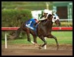 Hook and Ladder at Home in Gulfstream's Mr. Prospector Hook and Ladder at Home in Gulfstream's Mr. Prospector