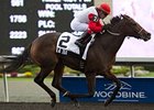 La Tia Bangs Rail, Still Wins La Lorgnette La Tia Bangs Rail, Still Wins La Lorgnette
