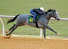 OBS Catalog Has 172 Horses OBS Catalog Has 172 Horses